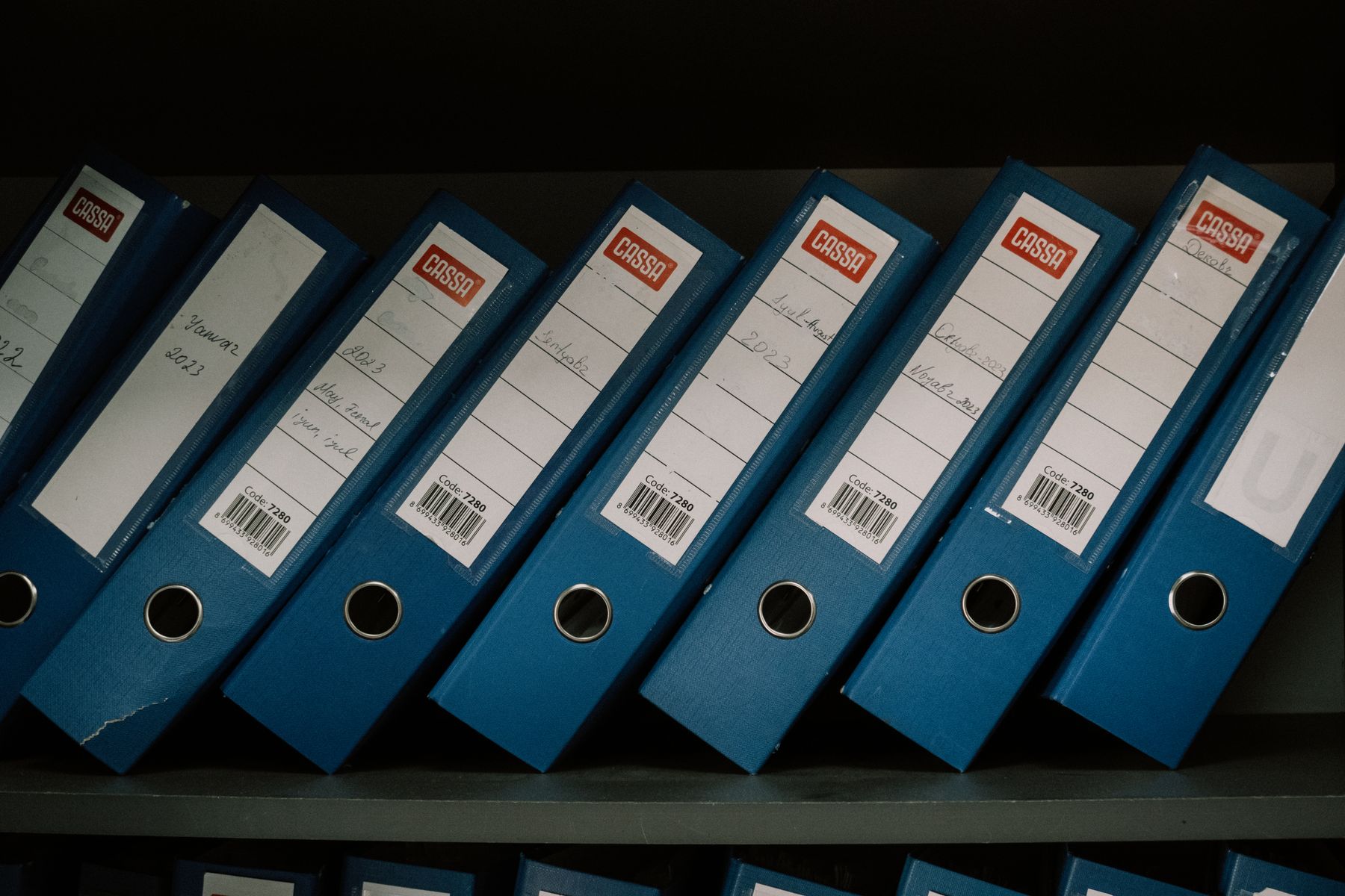 Blue lever arch files lined up on a shelf
